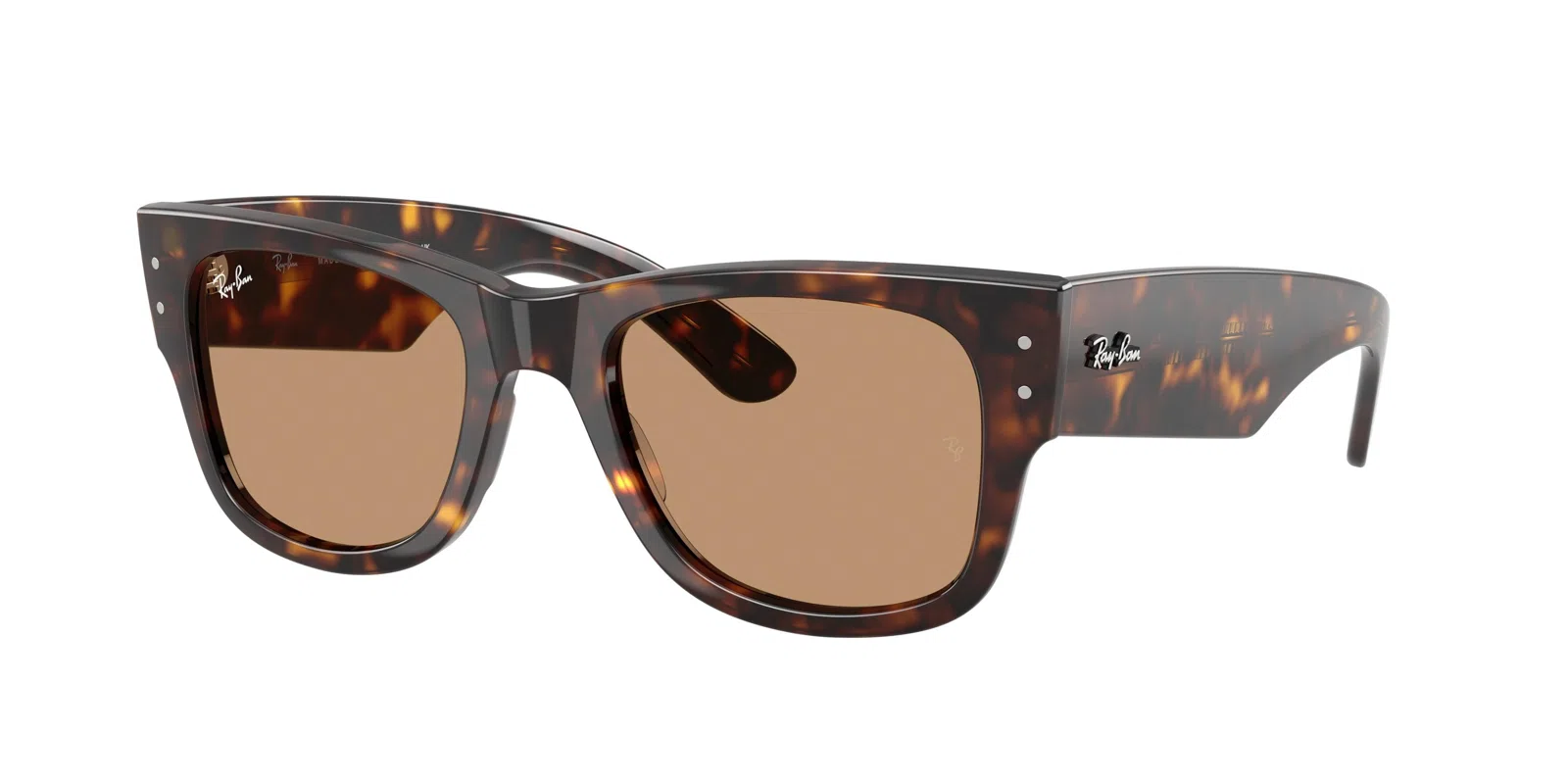 Ray-Ban Mega Wayfarer 0840SF Sunglasses - view 14